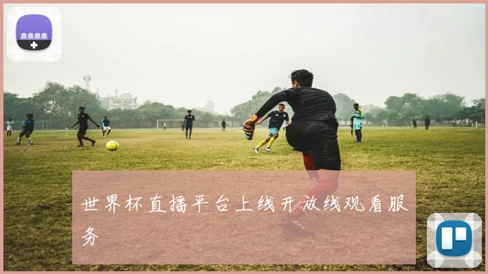 世界杯直播平台上线开放线观看服务