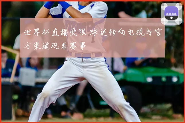 世界杯直播受限 球迷转向电视与官方渠道观看赛事