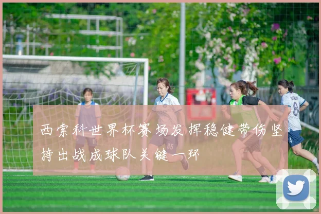 西索科世界杯赛场发挥稳健带伤坚持出战成球队关键一环