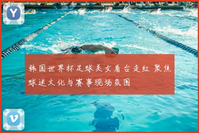 韩国世界杯足球美女看台走红 聚焦球迷文化与赛事现场氛围