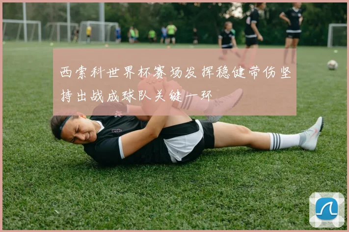 西索科世界杯赛场发挥稳健带伤坚持出战成球队关键一环