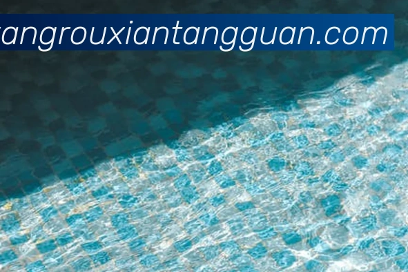 App Interface Preview