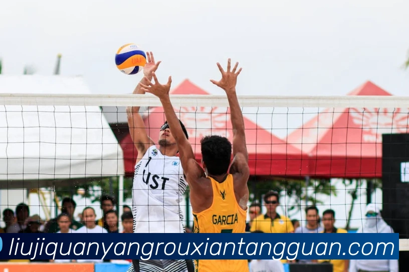 足球世界杯官网中文版APP 封面图