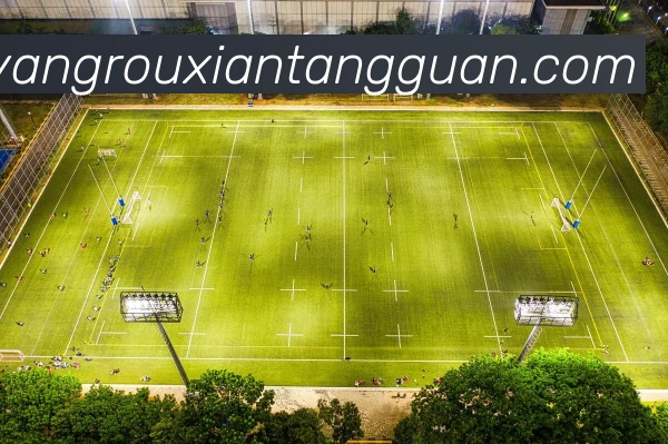 数据防护可视化